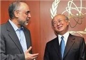 Iran Optimistic about Talks with IAEA: Official