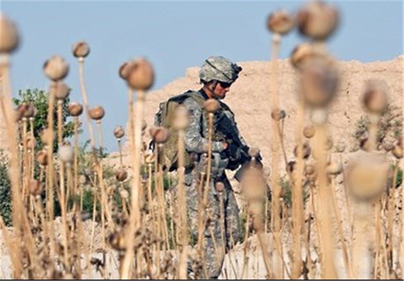 ​Land Used for Opium Cultivation at Historic High: UN