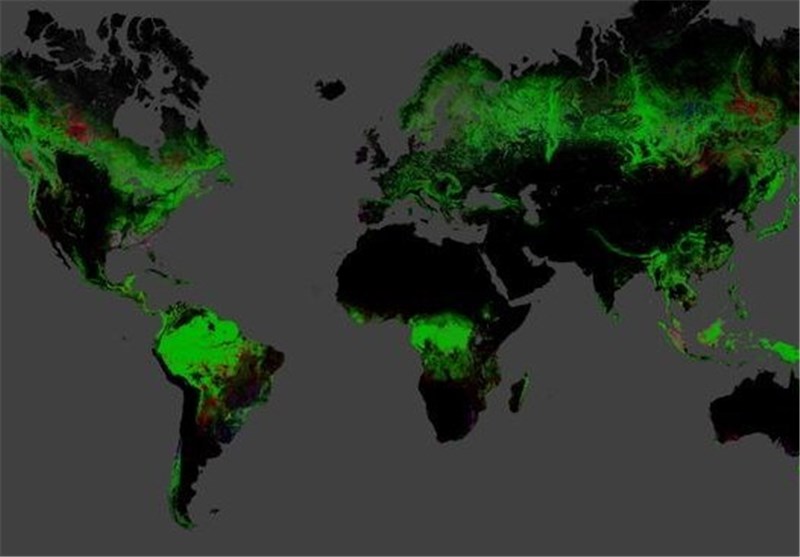 Vanishing Forests: New Map Details Global Deforestation