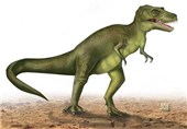 کشف فسیل گونه جدید دایناسور گوشتخوار