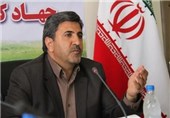 37 هزار هکتار از مزارع گندم در آذربایجان غربی بیمه شد
