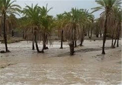 تخریب کانال غیرقانونی انتقال آب در سیرجان