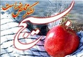 اجرای برنامه‌های فرهنگی هفته بسیج در پیام نور زنجان