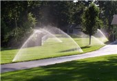 85 درصد فضای سبز کمیجان به سیستم آبیاری قطره‌ای مجهز شد