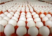 مهلت ثبت سفارش برای واردات تخم‌مرغ تمدید شد + سند