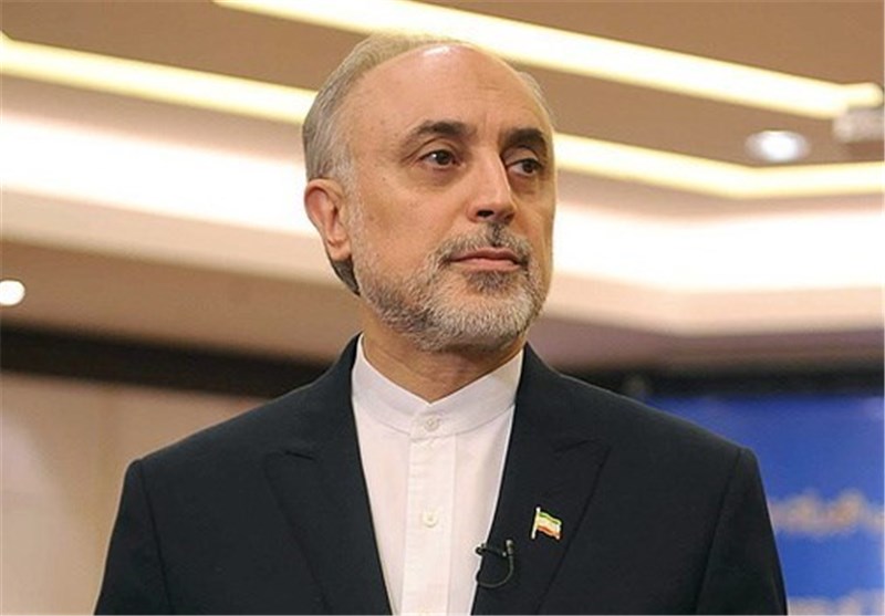 Salehi: Arak Heavy-Water Reactor Part and Parcel of Enrichment