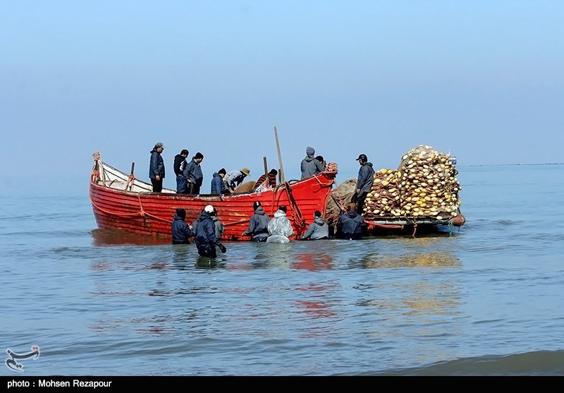 صیادان غیرمجاز در دریای خزر دستگیر شدند