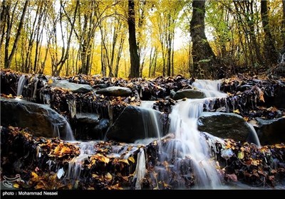 Autumn in Iran’s Golestan Province