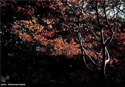 Autumn in Iran’s Golestan Province