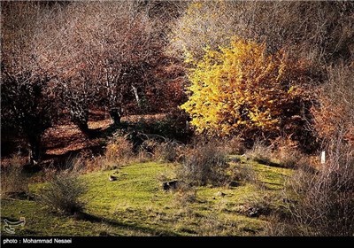 Autumn in Iran’s Golestan Province