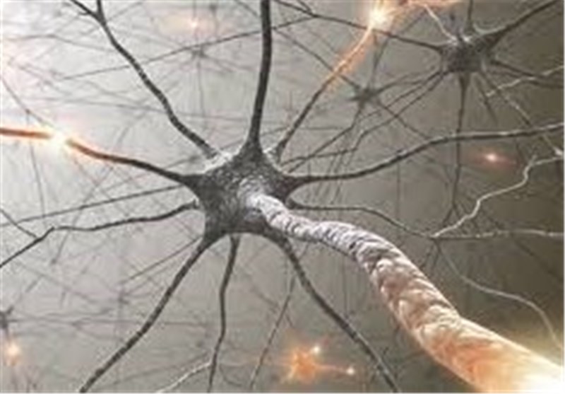 Changes in Proteins May Predict ALS Progression