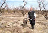 وزیر کشاورزی از آسیب‌های خشکسالی شمال اردبیل بازدید کرد