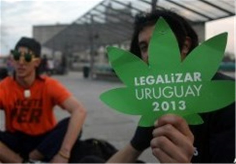 سازمان ملل: قانونی شدن مصرف ماریجوانا در اروگوئه قوانین بین المللی را نقض می کند