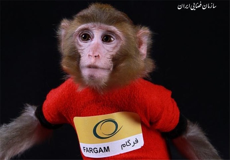 Iran’s Second Space Monkey Returns to Earth Safe