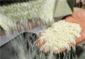 واردات برنج 57 درصد افزایش یافت