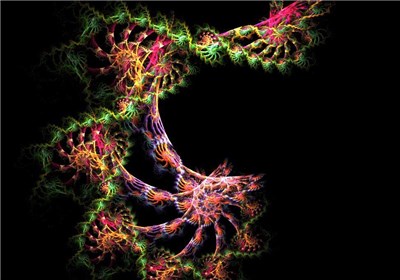 Dna repair enzymes examples