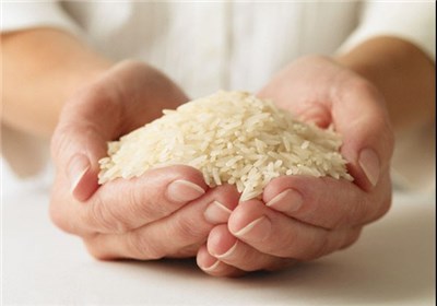  دولت برای تنظیم بازار برنج ایرانی در سال آینده وارد میدان شد 