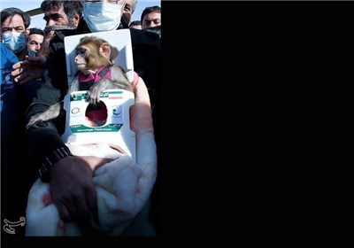 Photos: Iran’s Second Space Monkey Returns to Earth Safe