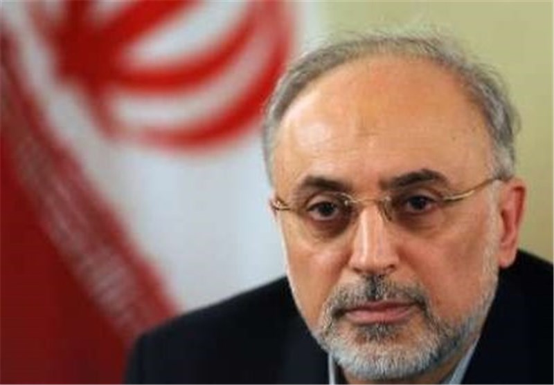 Salehi: UN Inspectors to Visit Iran&apos;s Uranum Mine in Coming Weeks