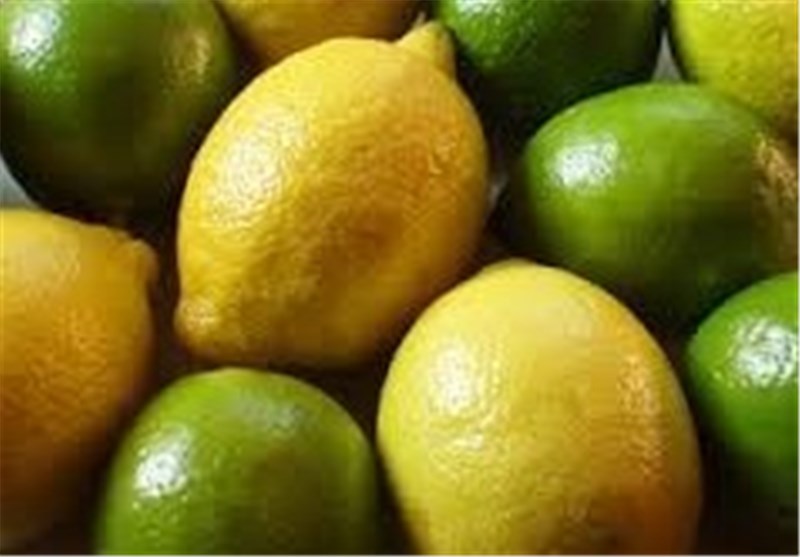 نبود صنایع تبدیلی و سردخانه در قطب تولید لیموی کشور‌