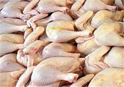  هفته آینده وضعیت عرضه مرغ در استان بوشهر به روال عادی برمی‌گردد 