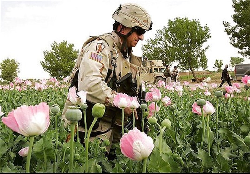 انتقاد روسیه از آمریکا به خاطر افزایش 40 برابری مواد مخدر در افغانستان