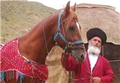 جشنواره زیبایی اسب ترکمن در بجنورد برگزار می شود