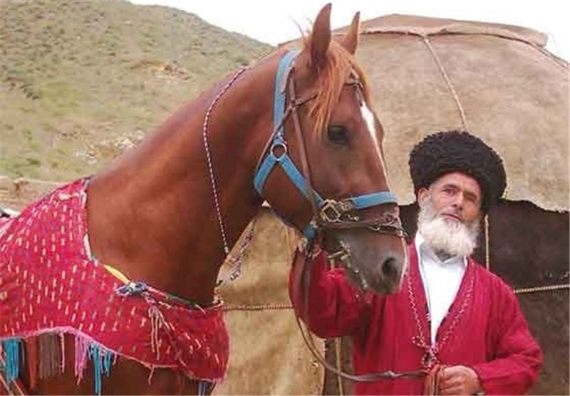 کورس اسب ترکمن در بجنورد برگزار می‌شود