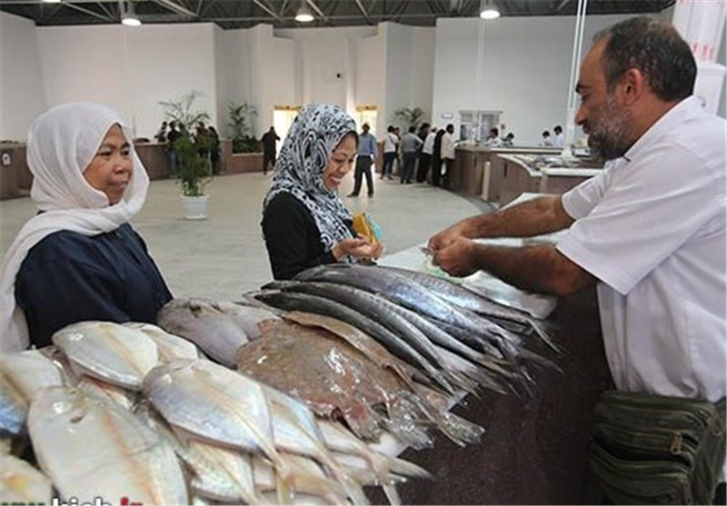 صید 1249 تن ماهی استخوانی در مازندران