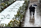 بارش برف حافظیه را سفید پوش کرد