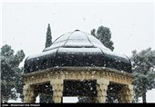 بارش برف حافظیه را سفید پوش کرد