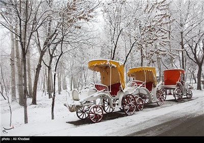 Snow Covers Historic City of Isfahan