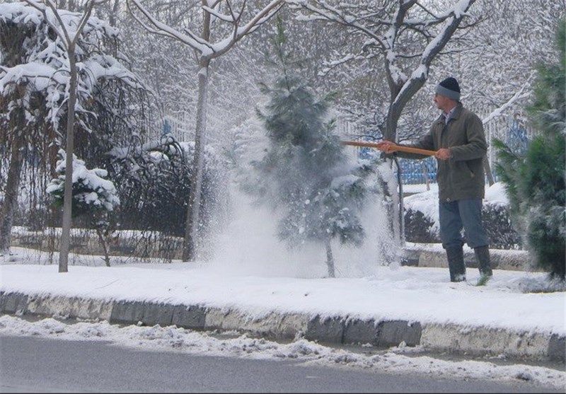 اجرای سومین مرحله برف تکانی فضای سبز شهر اراک