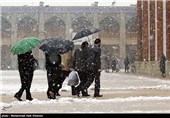 بارش برف در شیراز