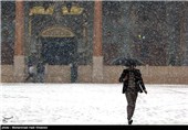 بارش برف در شیراز