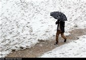 بارش برف در شیراز
