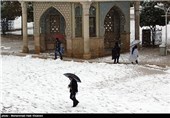بارش برف در شیراز