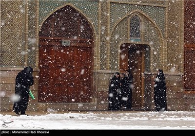 بارش برف در شیراز