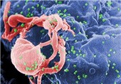اقدامات کنترلی بیماری ایدز برای بانوان اصفهانی افزایش می‌یابد