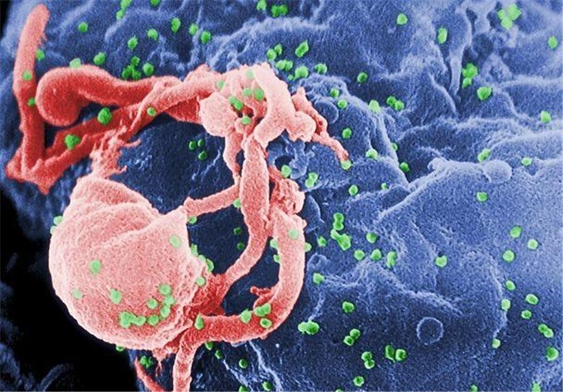 New Molecule Shows Promise in HIV Vaccine Design