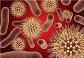 پیشگیری از عفونت‌ باکتریایی با افشانه سیلیکون