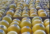 قیمت میوه و تره بار اصفهان در ماه مبارک رمضان تغییری نمی‌کند