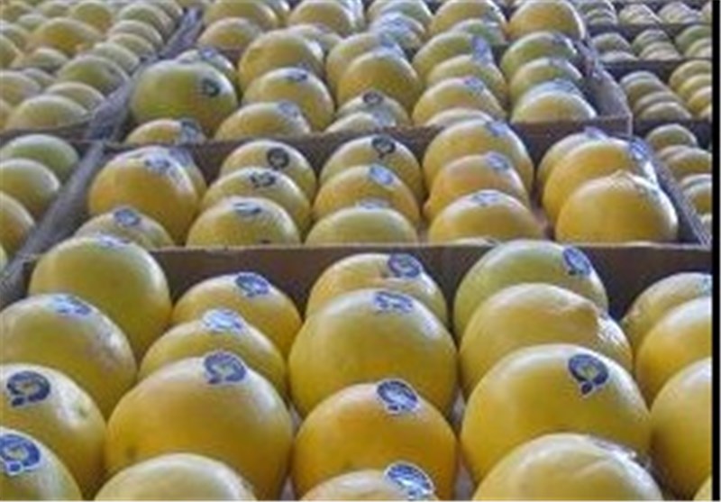 توزیع بیش از 430 تن میوه شب عید در کهگیلویه و بویراحمد