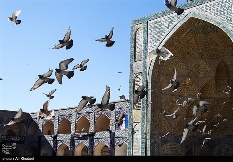 ادواردو مارتین: دیدن مساجد اصفهان من را شگفت‌زده کرد