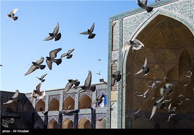 Grand Mosque of Isfahan