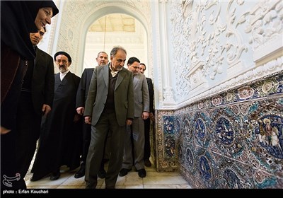 بازدید محمدعلی نجفی رئیس میراث فرهنگی از کاخ گلستان