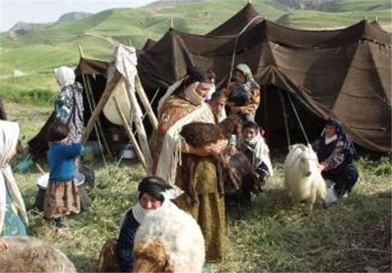 سود 70 میلیارد ریالی از کشت زعفران در مناطق عشایرنشین فارس