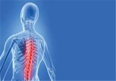 Tasnim News Agency - Promising New Drug Could Help Treat Spinal ...