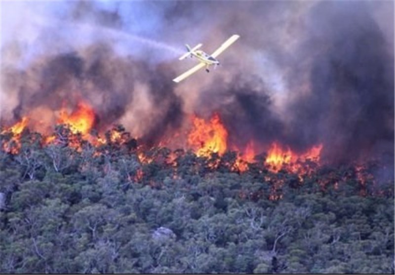 Australian Firefighters to Battle Bushfire in Heatwave