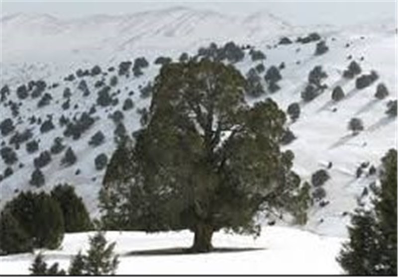 فارسان به قطب گردشگری چهارمحال و بختیاری تبدیل شود